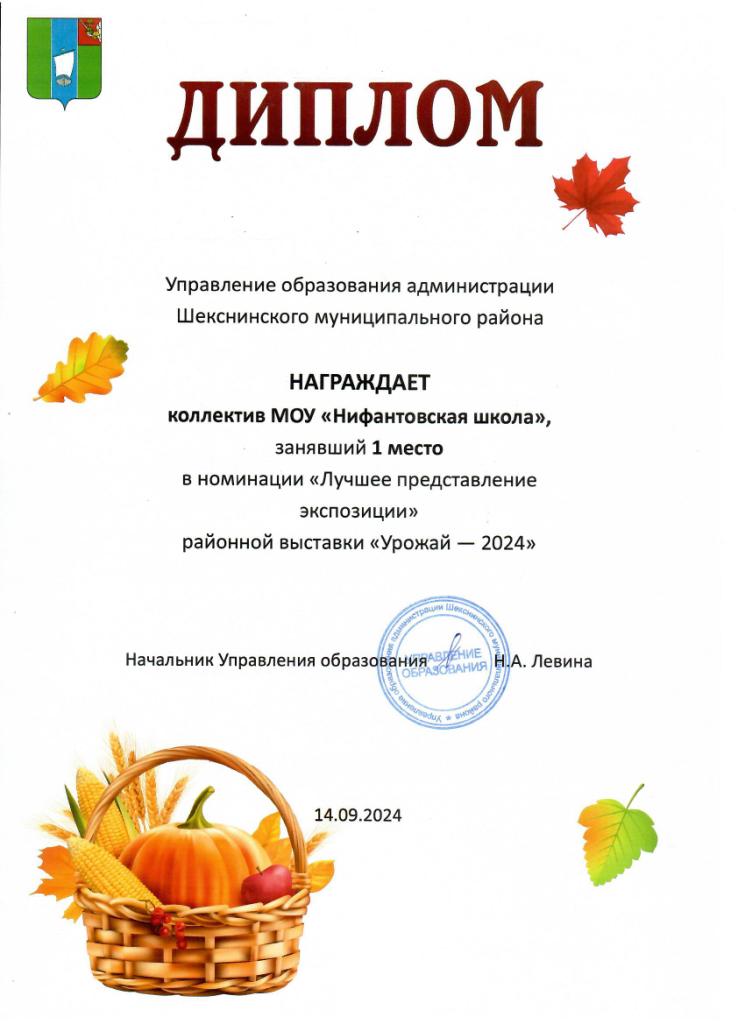 Диплом 1 место.